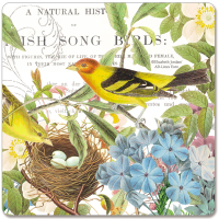 Counter Art Gift Collection